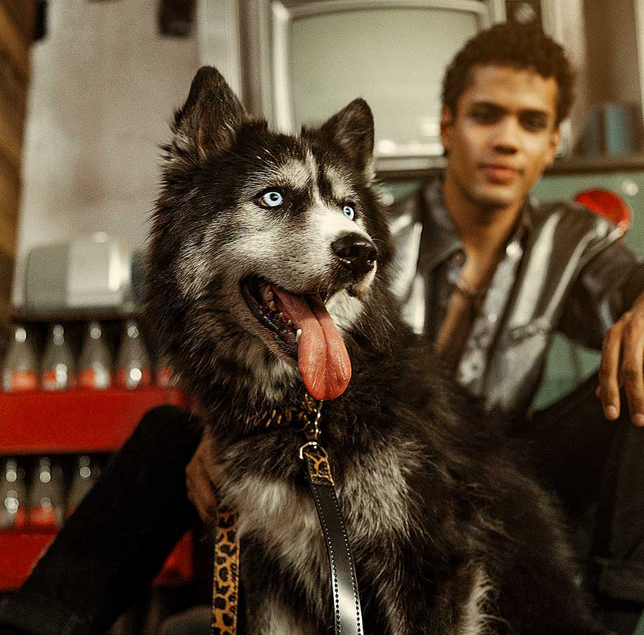 Fotografía profesional en Querétaro para ecommerce