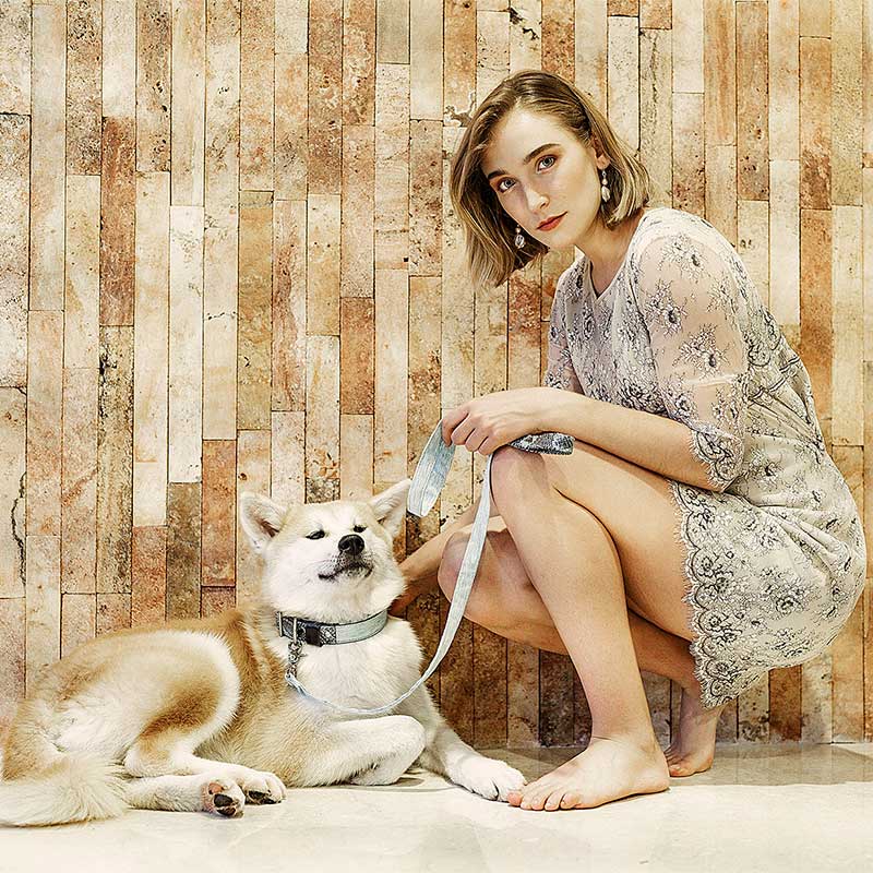 Fotograía de Producto de Perritos 4